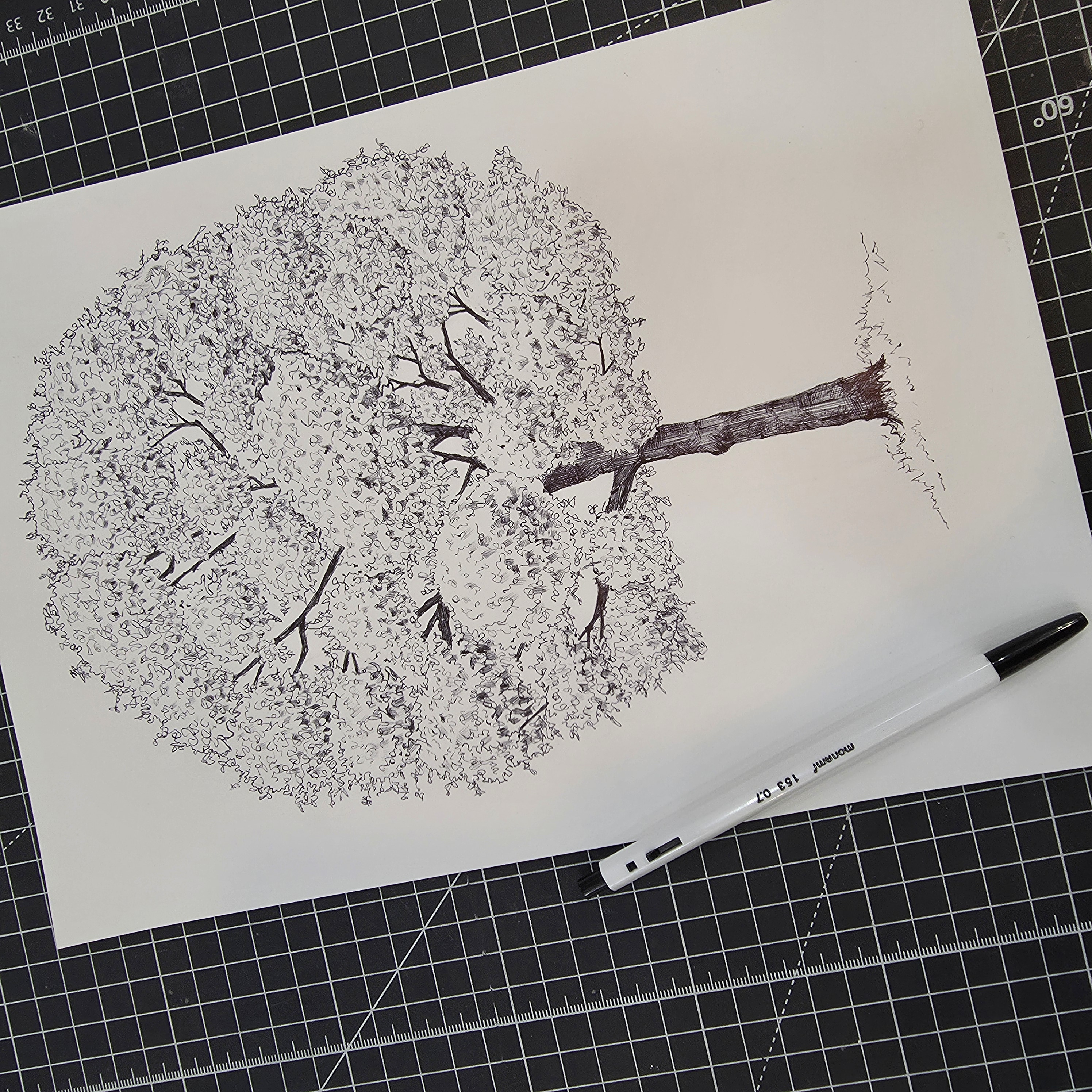 [초급반] 신OO님 작품